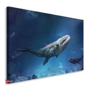 Ballena Horizontal BLH10