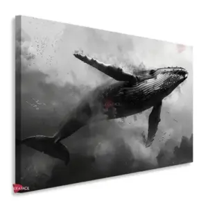 Ballena Horizontal BLH3
