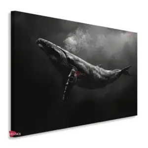 Ballena Horizontal BLH5