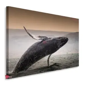 Ballena Horizontal BLH6