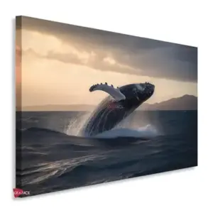 Ballena Horizontal BLH8