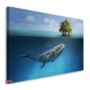 Ballena Horizontal BLH9