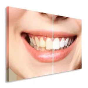 Dentista