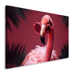 Flamingos