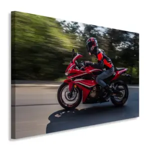 Motociclismo