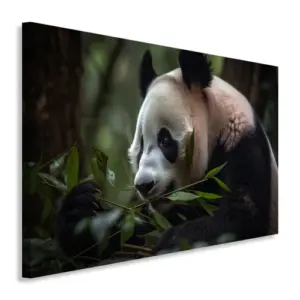 Pandas