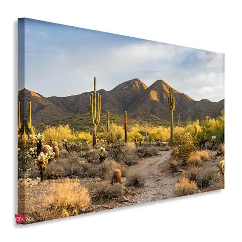 Desierto Horizontal Dsh10