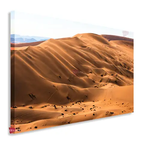 Desierto Horizontal Dsh14