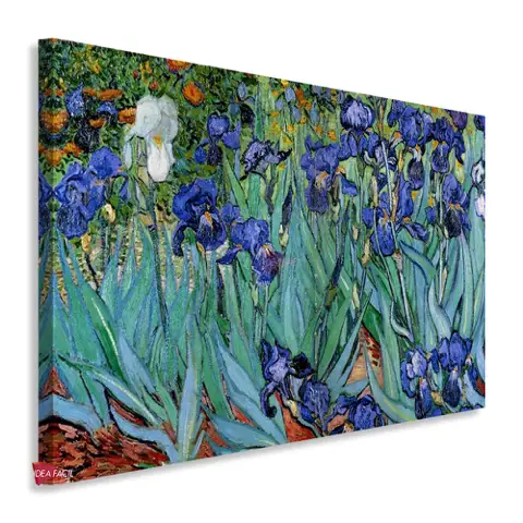 Van Gogh Avg13
