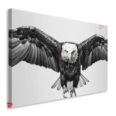 Águila Horizontal Agh1