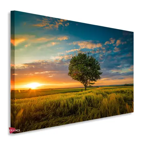 Atardecer Horizontal Ath20