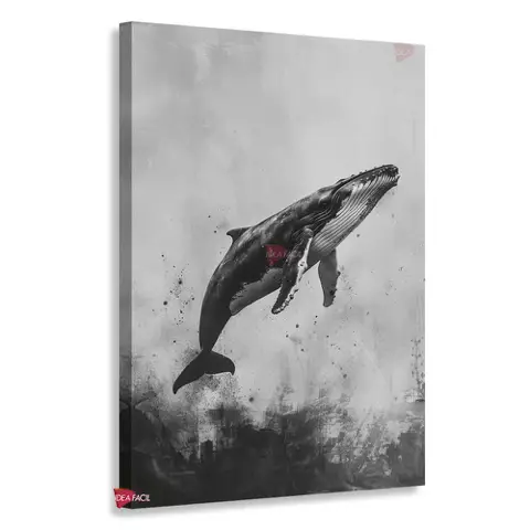 Ballena Vertical Blv1