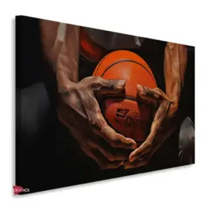 Baloncesto Horizontal Blh2