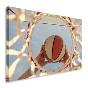 Baloncesto Horizontal Blh22