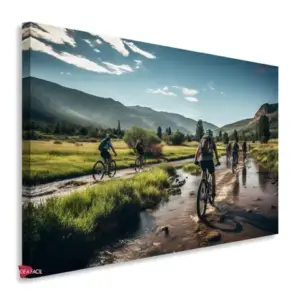 Bicicleta Horizontal Bch1