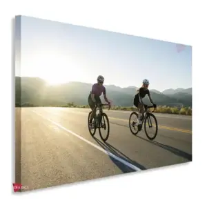 Bicicleta Horizontal Bch10