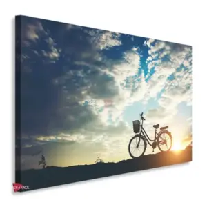 Bicicleta Horizontal Bch11