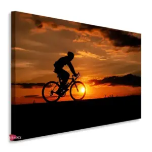 Bicicleta Horizontal Bch12