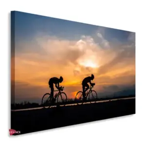 Bicicleta Horizontal Bch14
