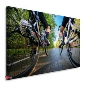 Bicicleta Horizontal Bch15