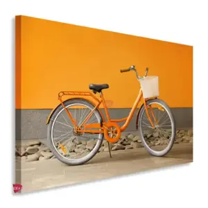 Bicicleta Horizontal Bch16