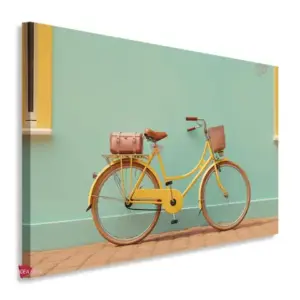 Bicicleta Horizontal Bch19