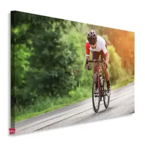 Bicicleta Horizontal Bch20