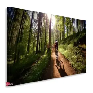 Bicicleta Horizontal Bch21