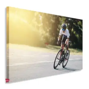 Bicicleta Horizontal Bch22
