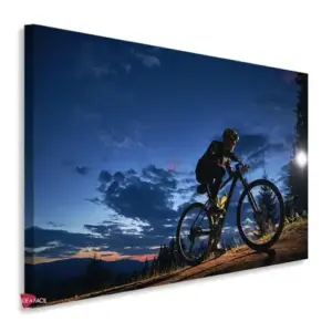 Bicicleta Horizontal Bch24