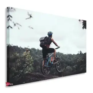Bicicleta Horizontal Bch25