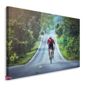 Bicicleta Horizontal Bch26