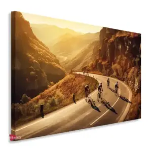 Bicicleta Horizontal Bch27