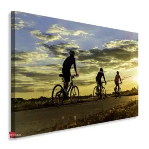 Bicicleta Horizontal Bch3