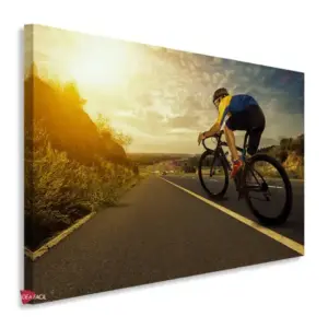 Bicicleta Horizontal Bch4