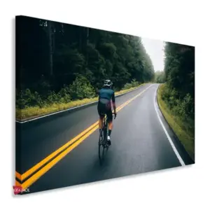 Bicicleta Horizontal Bch5