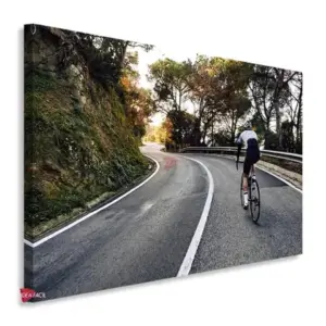 Bicicleta Horizontal Bch6