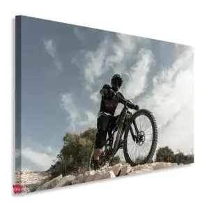 Bicicleta Horizontal Bch8