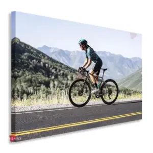 Bicicleta Horizontal Bch9