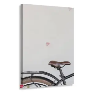 Bicicleta Vertical Bcv1