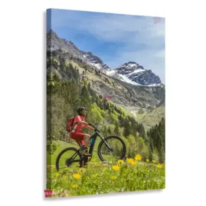 Bicicleta Vertical Bcv11