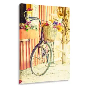 Bicicleta Vertical Bcv12