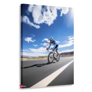 Bicicleta Vertical Bcv9