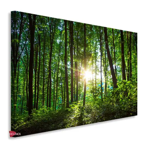 Bosque Horizontal Bqh11