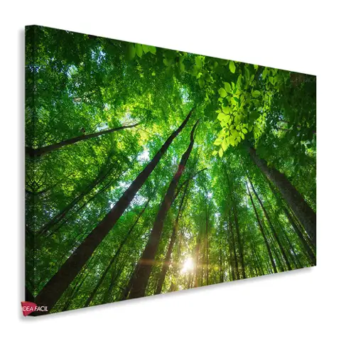 Bosque Horizontal Bqh15