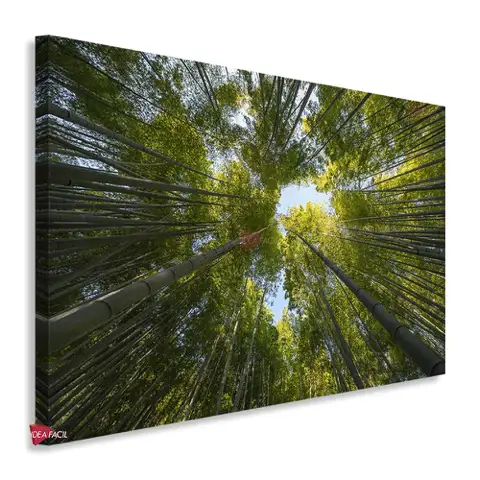 Bosque Horizontal Bqh17
