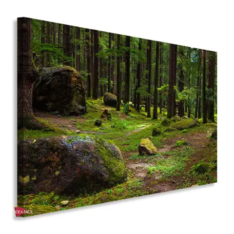 Bosque Horizontal Bqh23