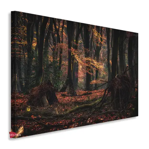 Bosque Horizontal Bqh26
