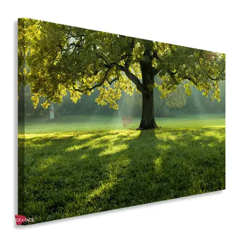 Bosque Horizontal Bqh32