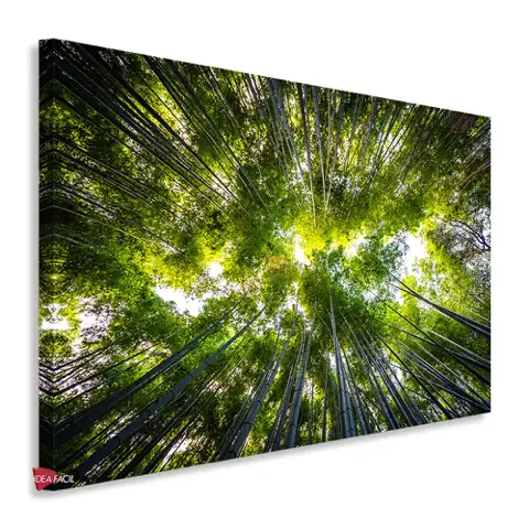 Bosque Horizontal Bqh33